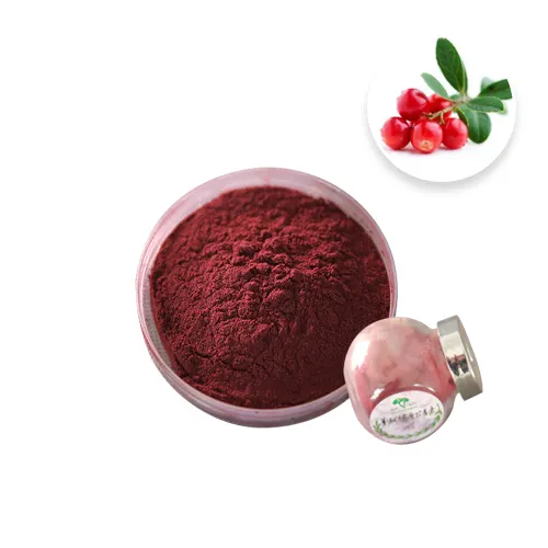 Cranberry Extract Proanthocyanidins